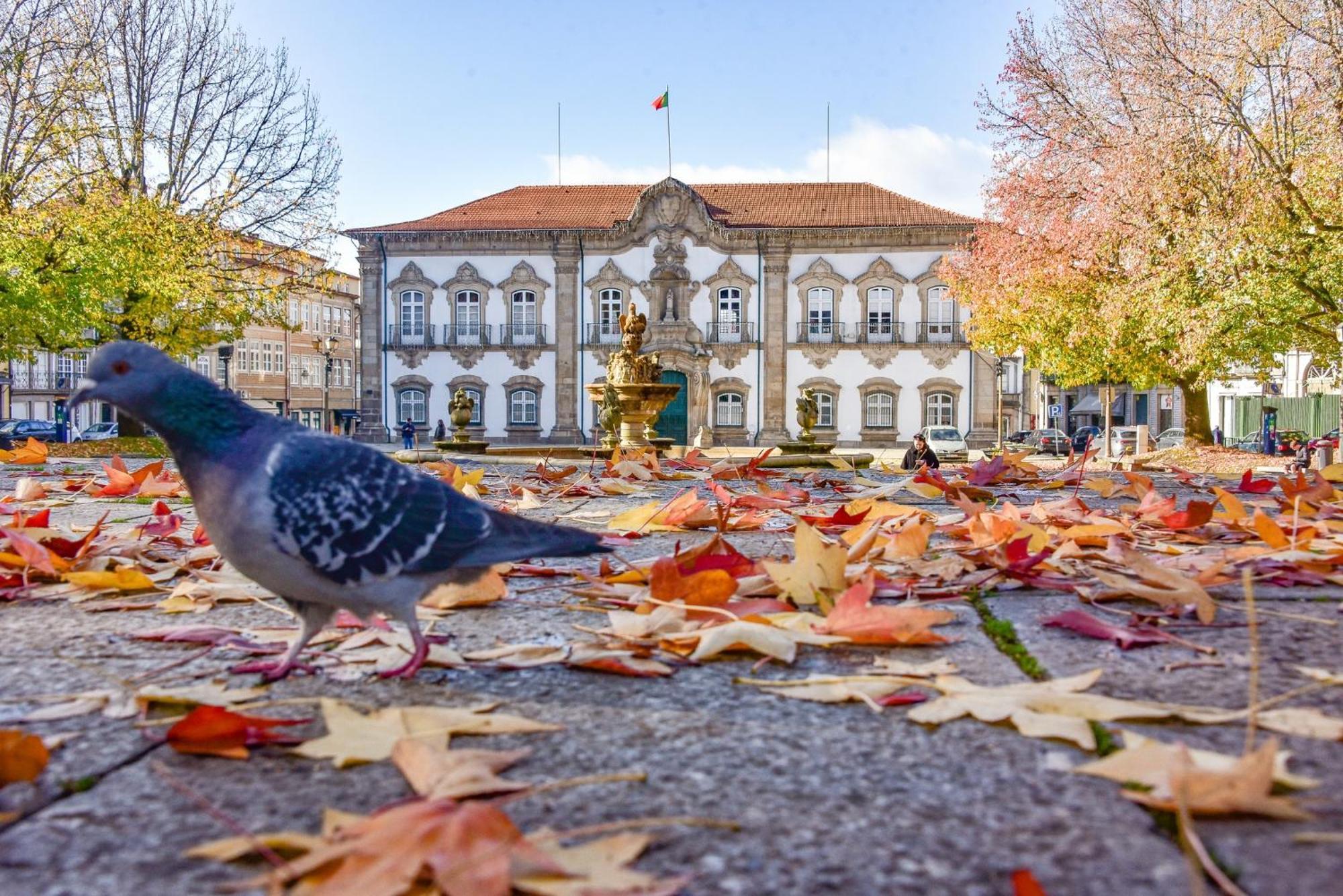Tuxas House Apartman Braga Kültér fotó